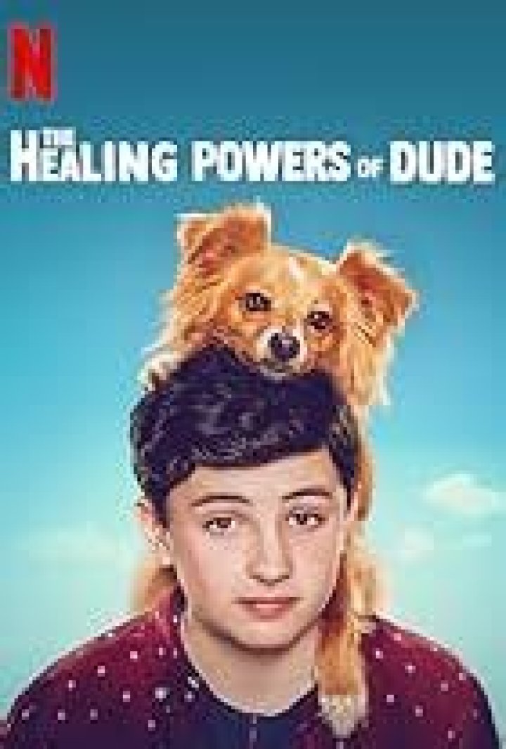 Did The Healing Powers of Dude get Cancelled?