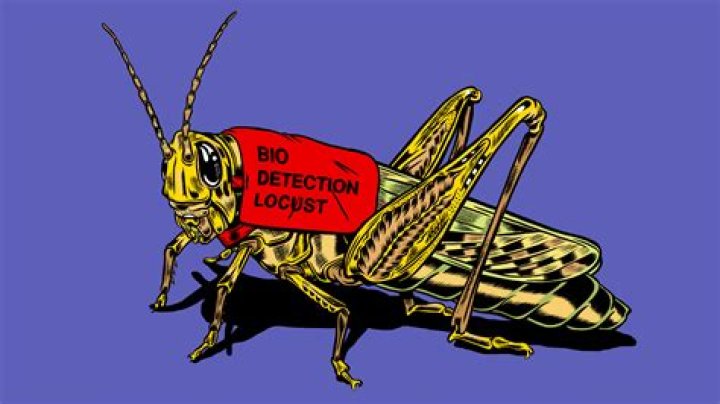 Do locusts eat blood? – Celebrity.fm – #1 Official Stars, Business & People Network, Wiki, Success story, Biography & Quotes