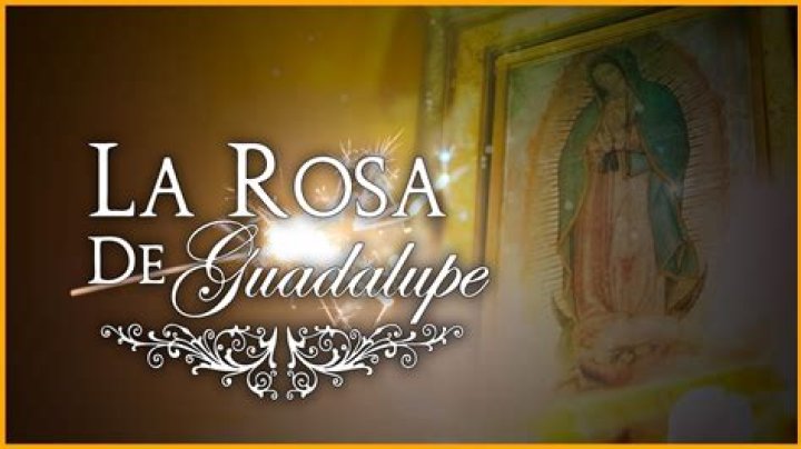 ¿Tiene Hulu La Rosa de Guadalupe? – Celebrity.fm