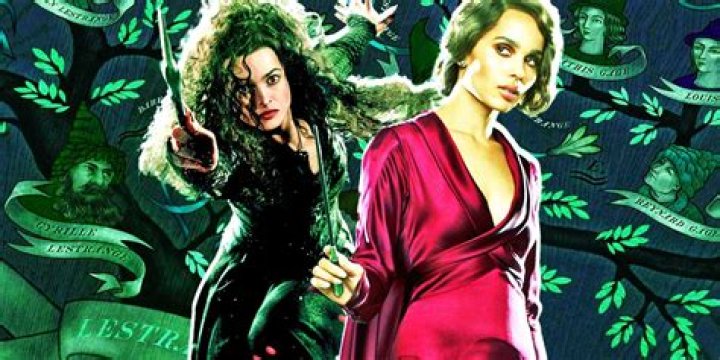 How are Leta Lestrange and Bellatrix Lestrange related?