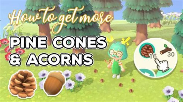 How do I get acorns and pine cones on Animal Crossing?
