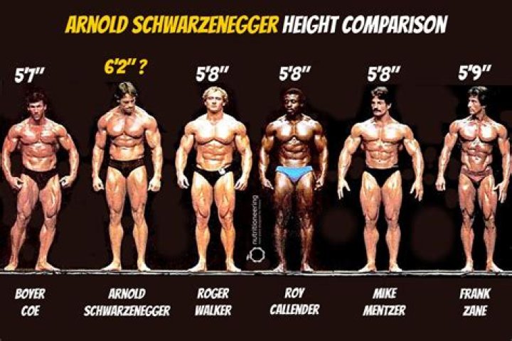 How tall was Arnold Schwarzenegger Really? – Celebrity.fm – #1 Official Stars, Business & People Network, Wiki, Success story, Biography & Quotes