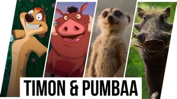 Is Pumbaa a boar? – Celebrity.fm – #1 Official Stars, Business & People Network, Wiki, Success story, Biography & Quotes