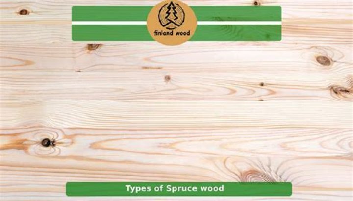 Is spruce wood wand good? – Celebrity.fm – #1 Official Stars, Business & People Network, Wiki, Success story, Biography & Quotes