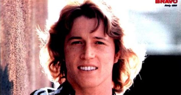 ¿Andy Gibb era parte de los Bee Gees? – Celebrity.fm