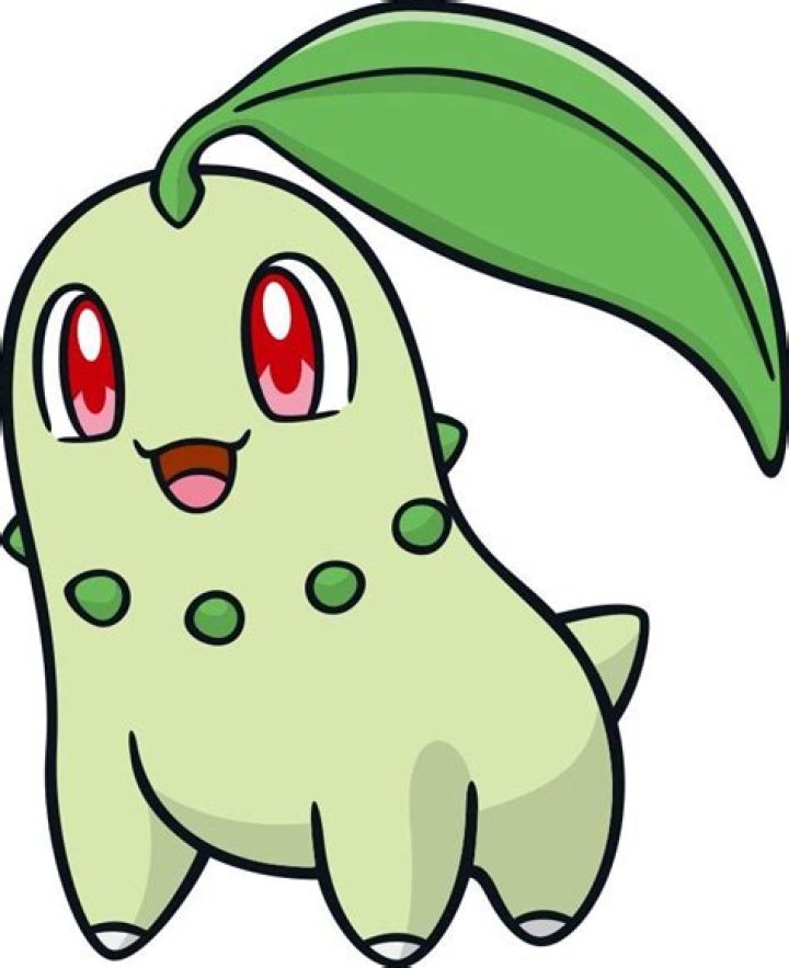 ¿Qué animal es chikorita? – Celebrity.fm
