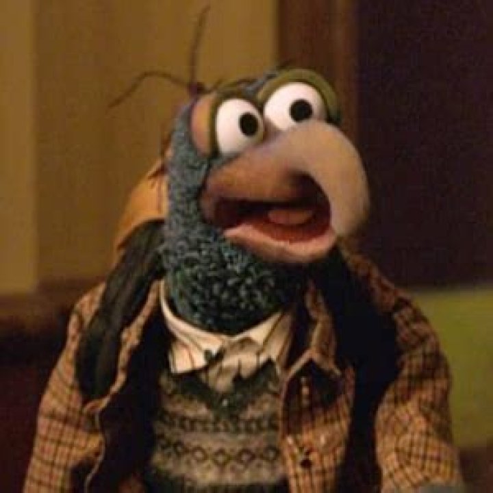 What animal is Gonzo? – Celebrity.fm – #1 Official Stars, Business & People Network, Wiki, Success story, Biography & Quotes