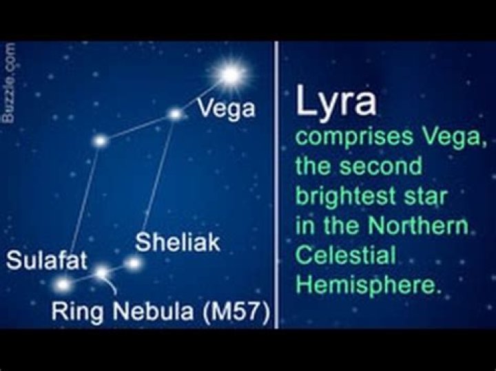 What does Lyra’s daemon settle as? – Celebrity.fm – #1 Official Stars, Business & People Network, Wiki, Success story, Biography & Quotes