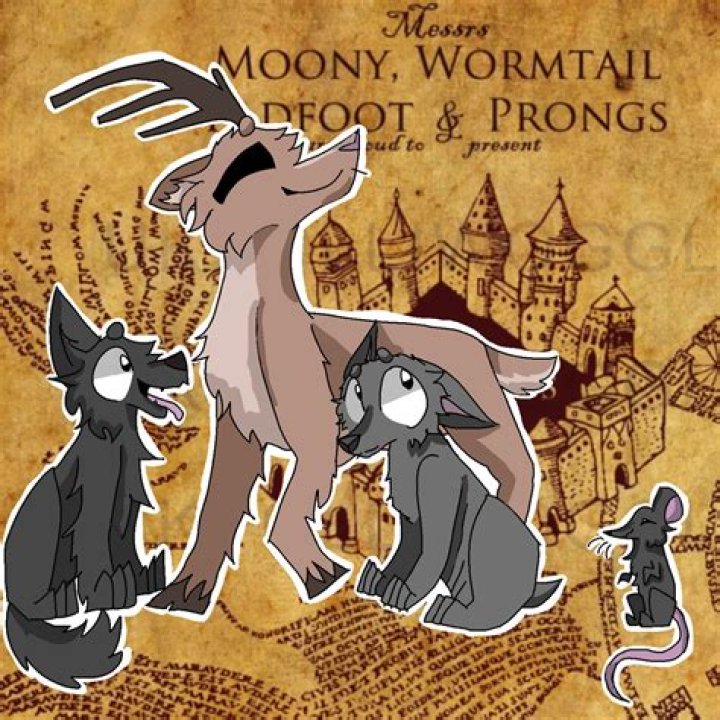 What does Messrs Moony Wormtail Padfoot and Prongs mean?