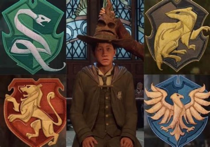 What Hogwarts house is Louis Partridge in? – Celebrity.fm – #1 Official Stars, Business & People Network, Wiki, Success story, Biography & Quotes