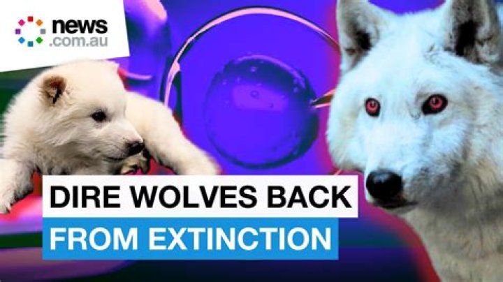 What is a Luna wolf? – Celebrity.fm – #1 Official Stars, Business & People Network, Wiki, Success story, Biography & Quotes