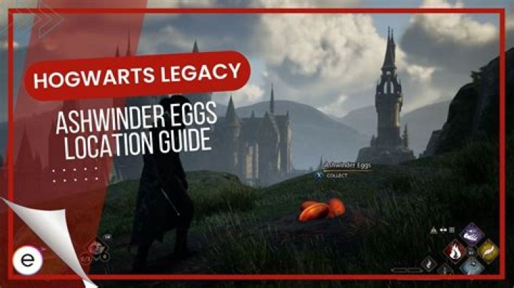 What is Ashwinder egg? – Celebrity.fm – #1 Official Stars, Business & People Network, Wiki, Success story, Biography & Quotes