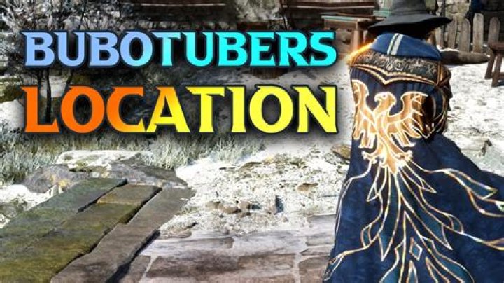 What is bubotuber pus used for? – Celebrity.fm – #1 Official Stars, Business & People Network, Wiki, Success story, Biography & Quotes