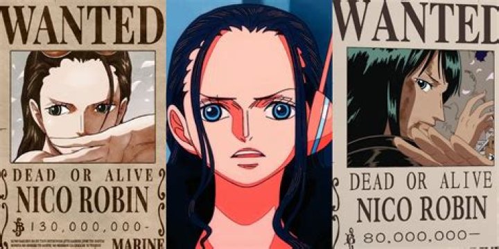 What is Nico Robin looking for?