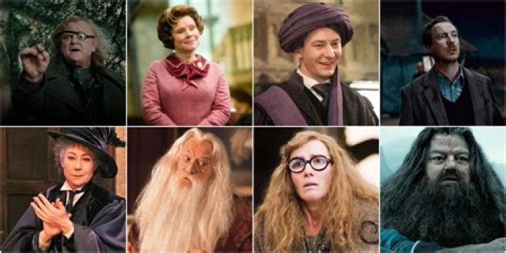 What is the name of the professors in Harry Potter?