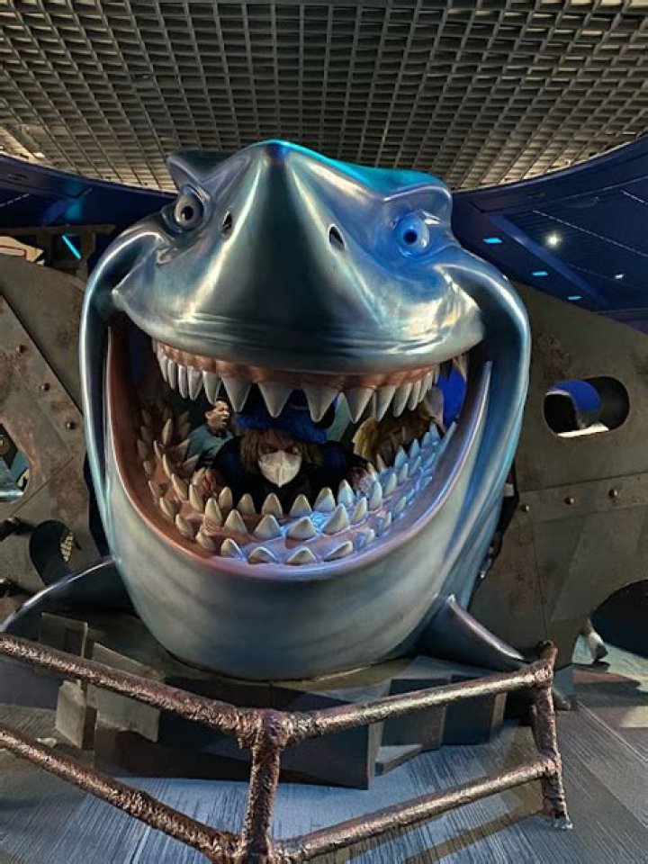 What kind of shark was Bruce in Finding Nemo?