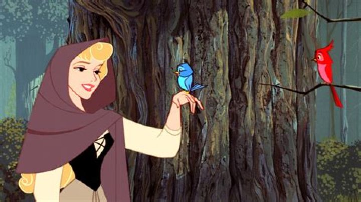 What nationality is Aurora from Sleeping Beauty?