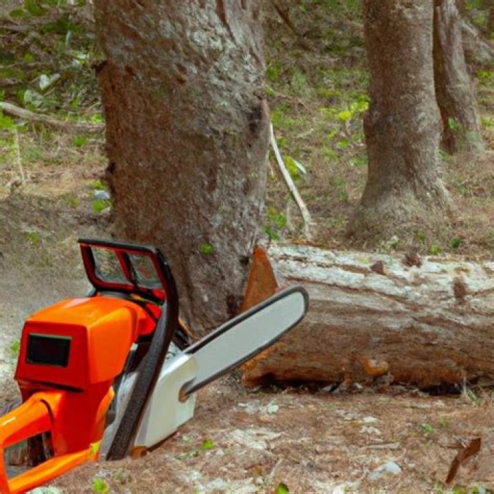 ¿Cuándo se inventó la motosierra a gasolina? – Celebrity.fm