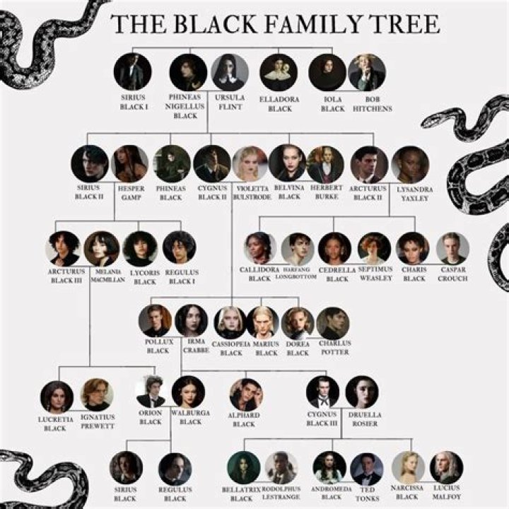 ¿Quién es el heredero de la familia Black? – Celebrity.fm