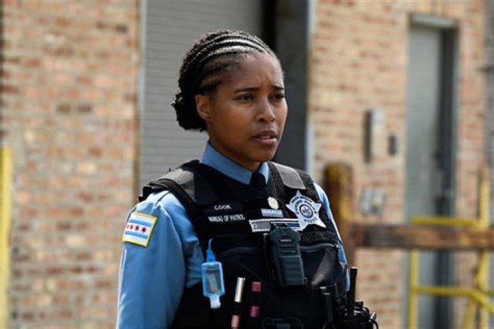 Who plays Camilla Chicago PD? – Celebrity.fm – #1 Official Stars, Business & People Network, Wiki, Success story, Biography & Quotes