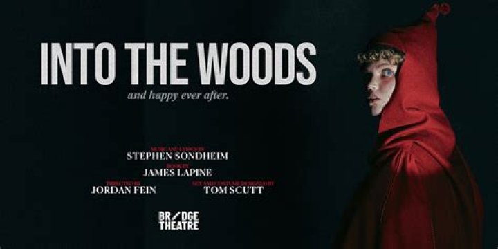 Why did Christopher Knight go into the woods?