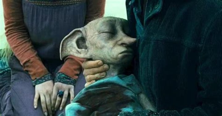 Why did no one heal Dobby?